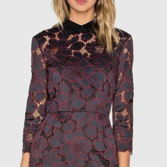 🤎Trina Turk🤎 Killian Lace Sheath Cocktail Dress - Picture 8 of 9